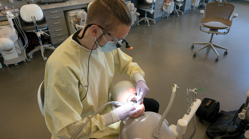 SOU-Taylor Mullaney-dentist