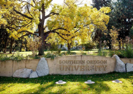 Trustees appointed to SOU board