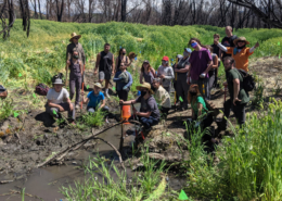 SOU EcoAdventure students work on Bear Creek restoration