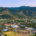 Survey seeks input from SOU Ashland
